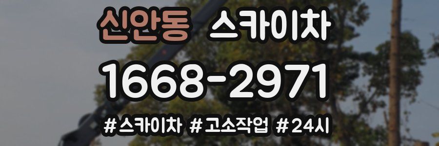 신안동 스카이차