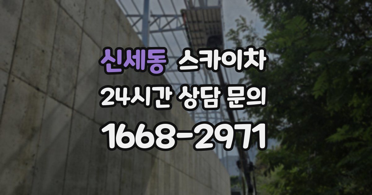 신세동 스카이차
