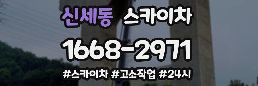 신세동 스카이차