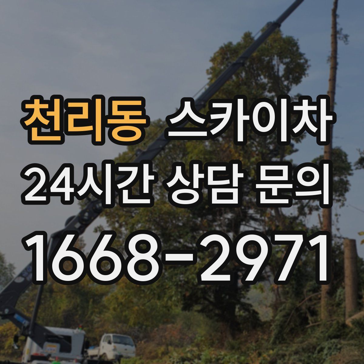 천리동 스카이차