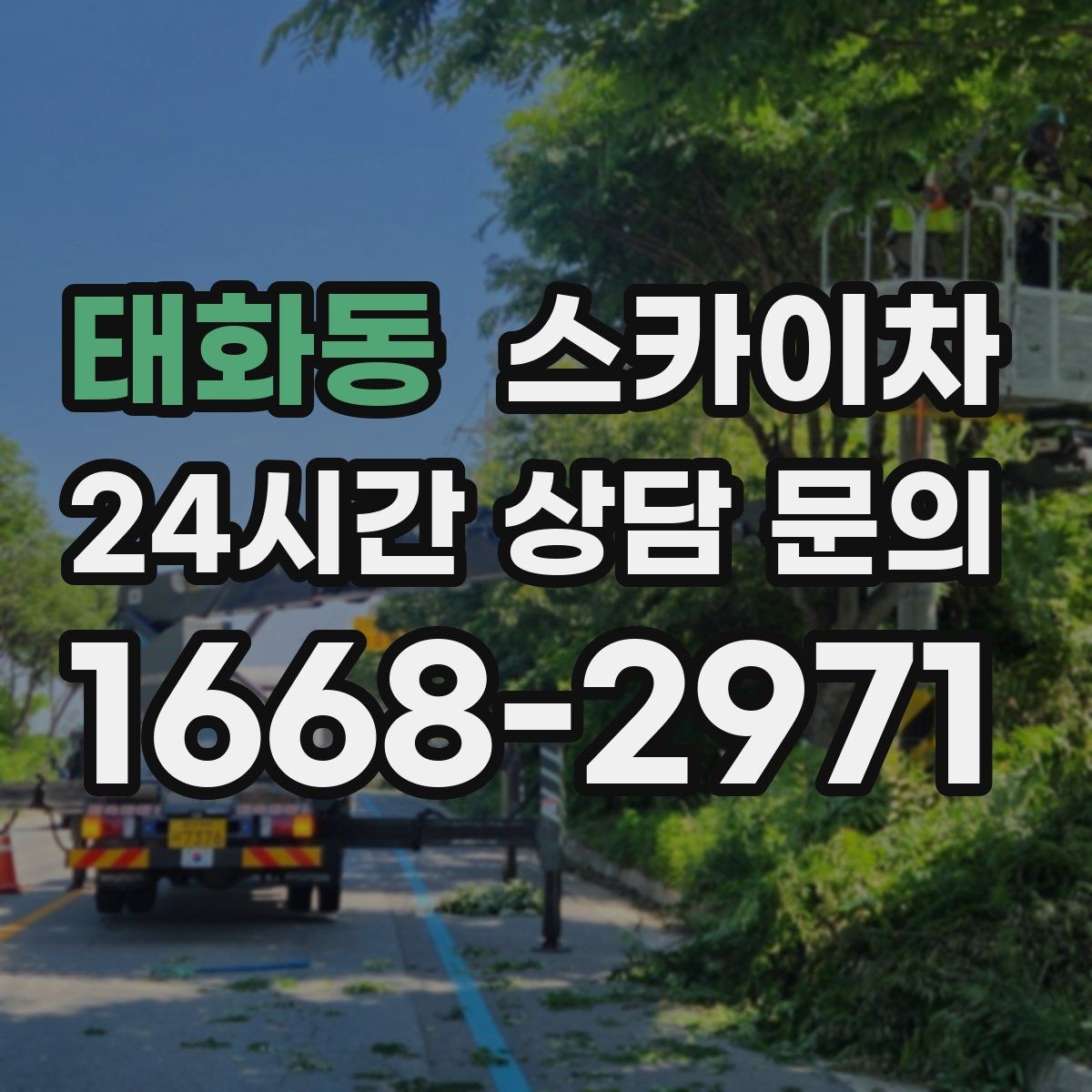 태화동 스카이차 건물 높이와 작업 반경 확인 포인트