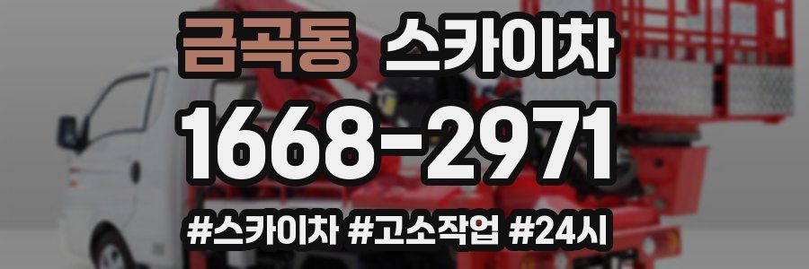 금곡동 스카이차