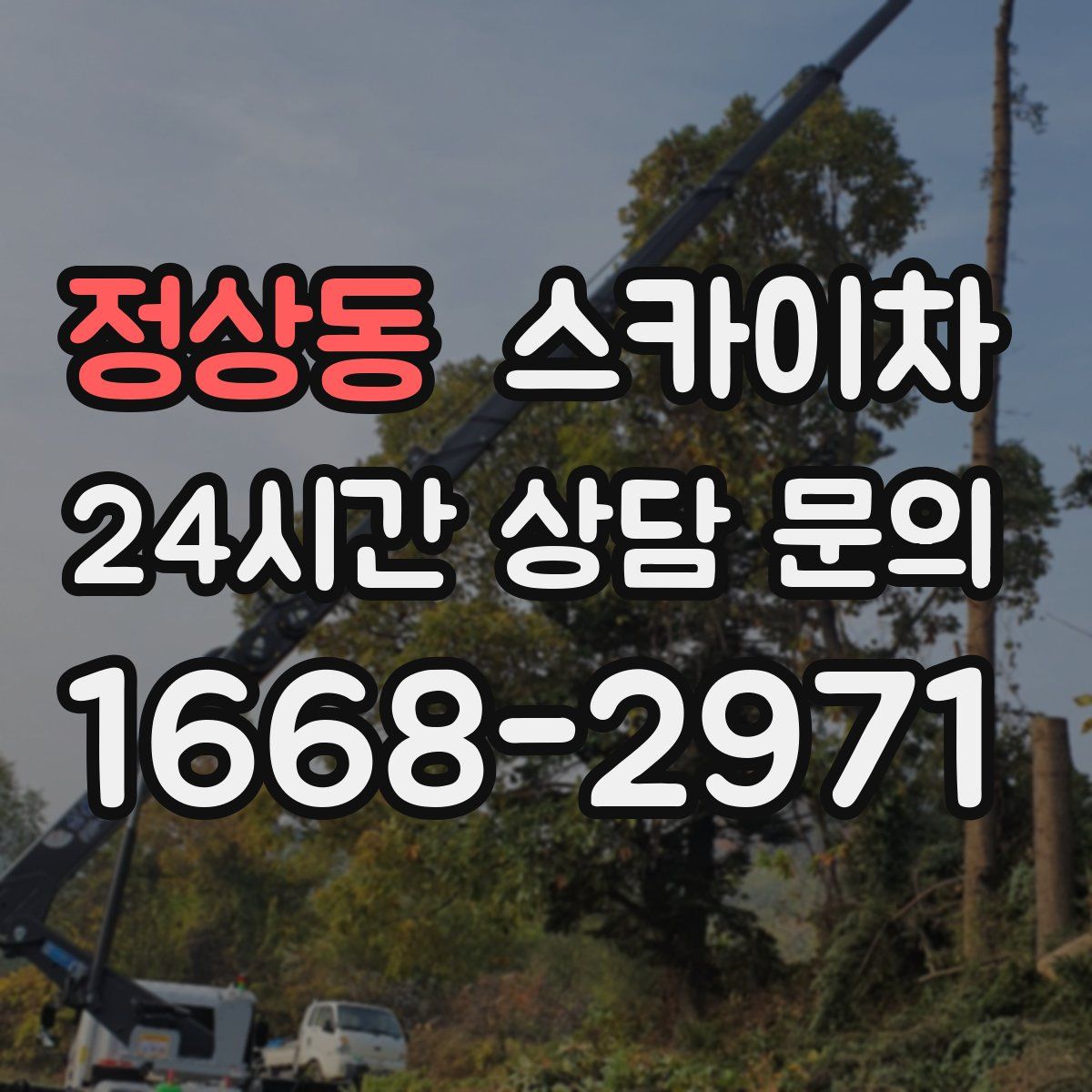 정상동 스카이차