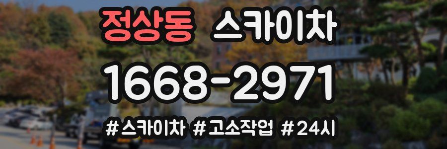 정상동 스카이차