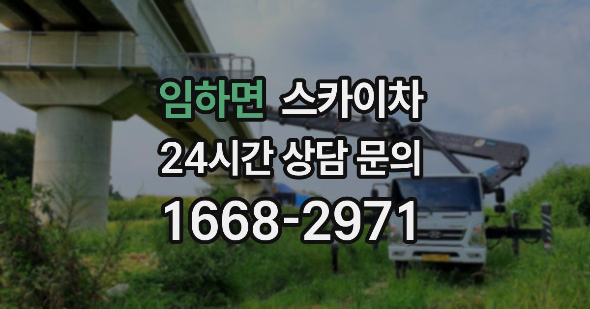 임하면 스카이차