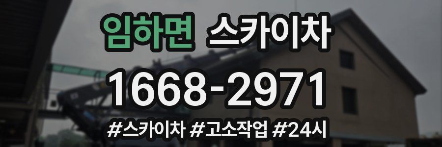 임하면 스카이차