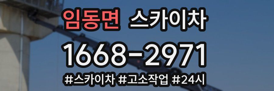 임동면 스카이차