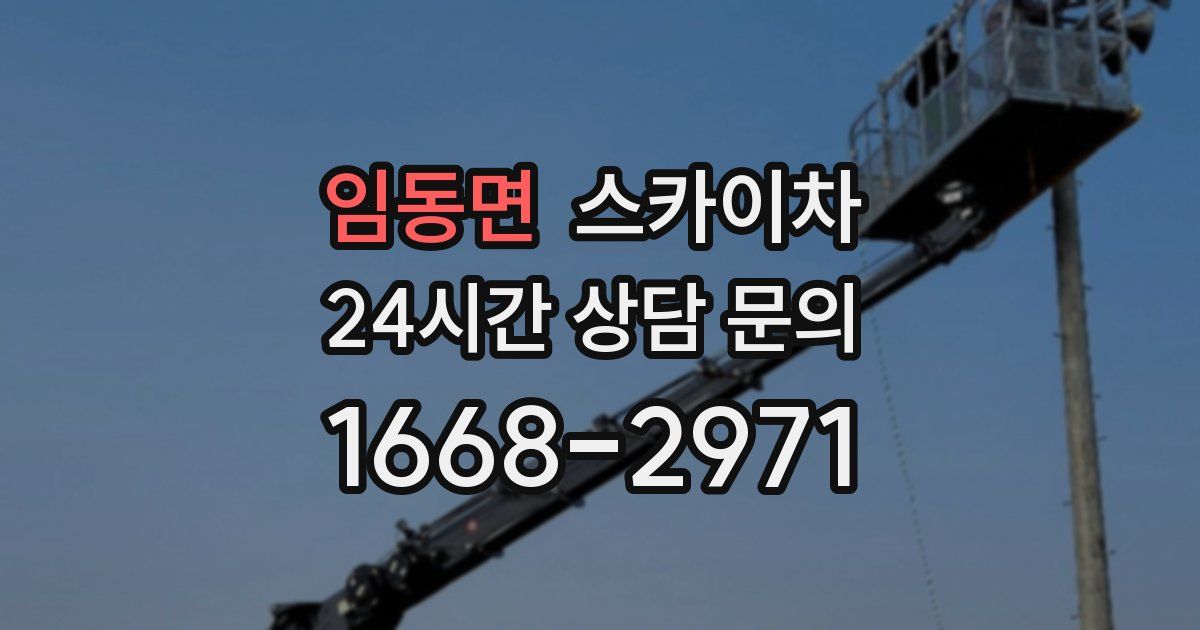 임동면 스카이차