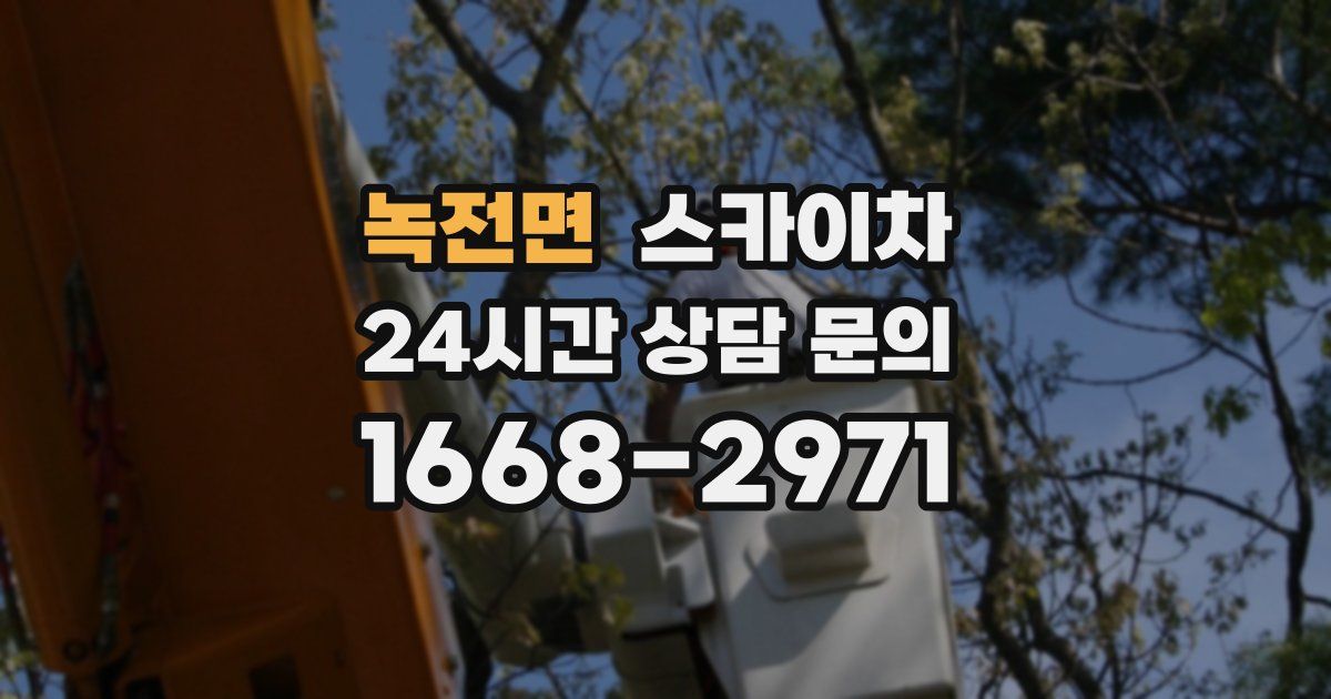 녹전면 스카이차