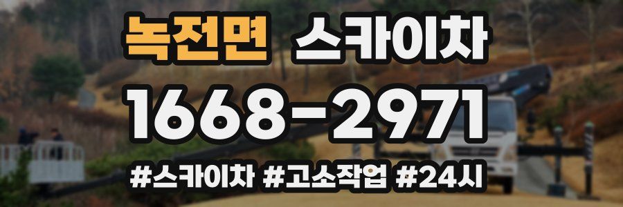 녹전면 스카이차