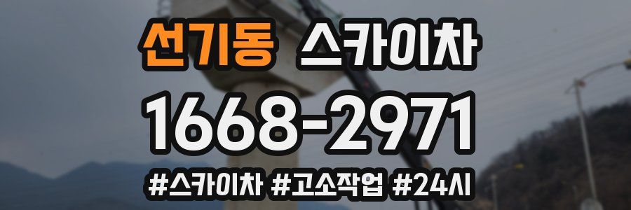 선기동 스카이차