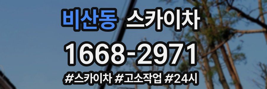 비산동 스카이차