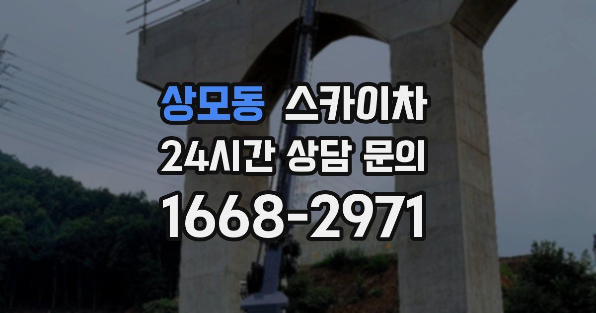 상모동 스카이차