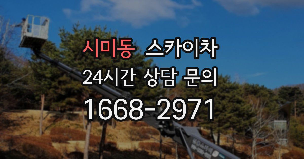 시미동 스카이차