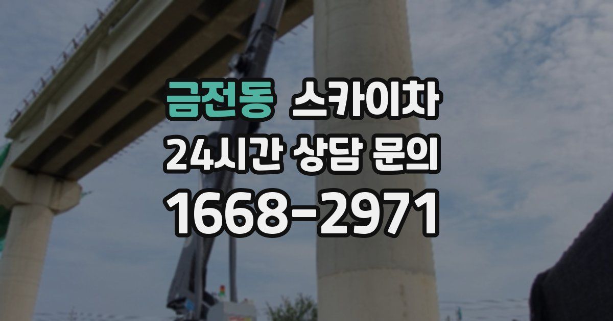 금전동 스카이차