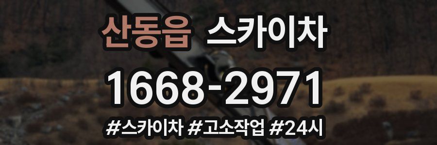 산동읍 스카이차