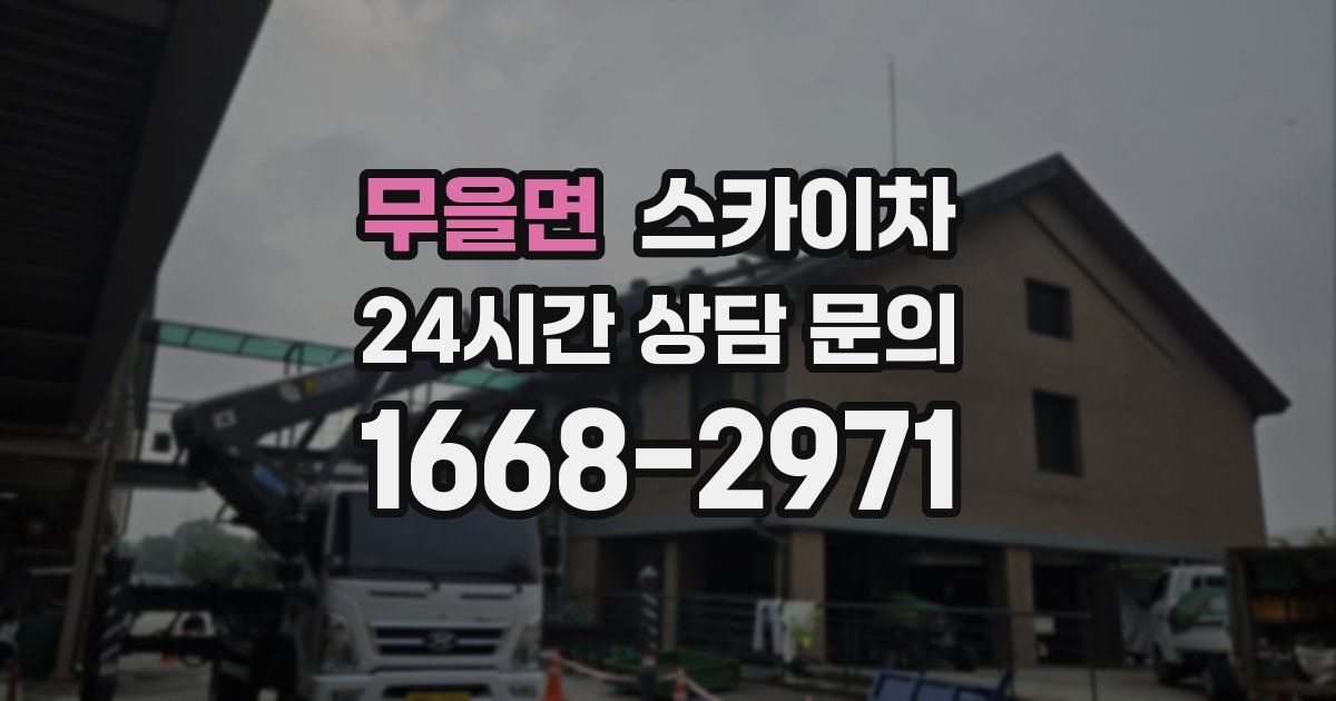 무을면 스카이차