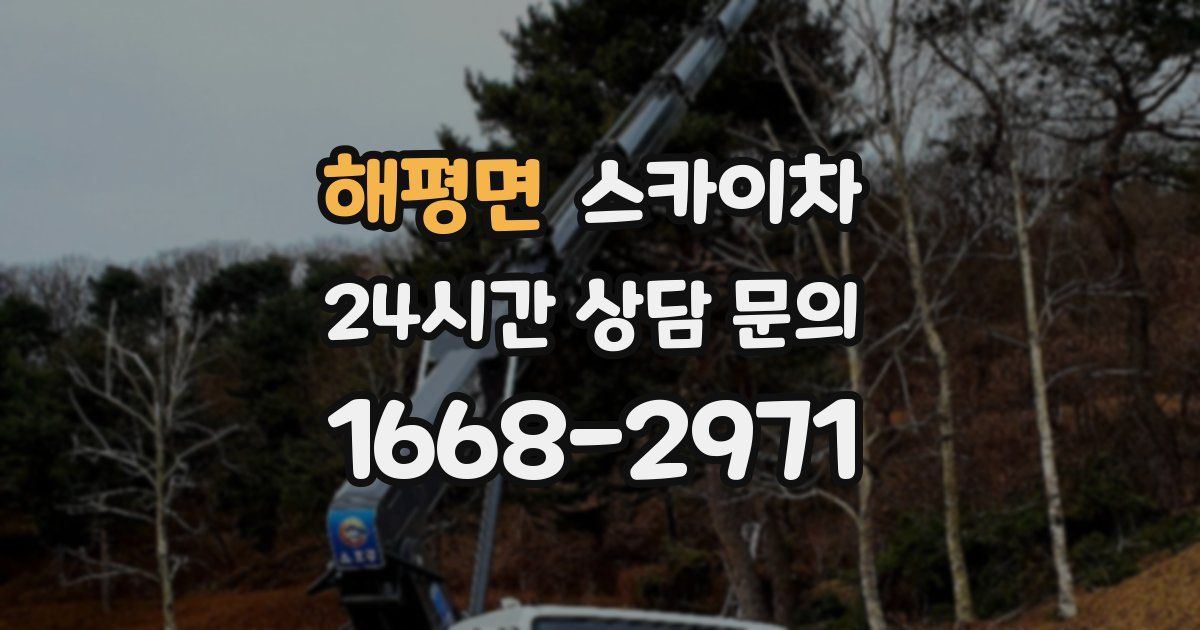 해평면 스카이차