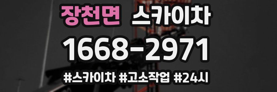 장천면 스카이차