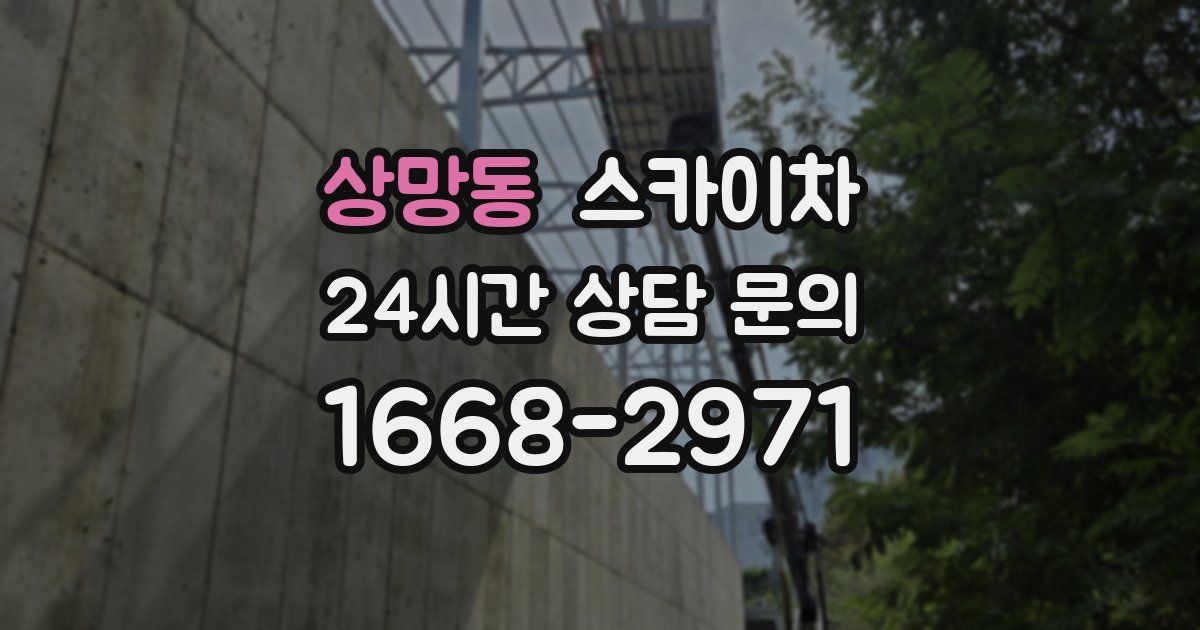 상망동 스카이차