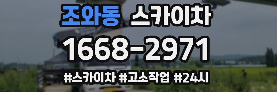 조와동 스카이차