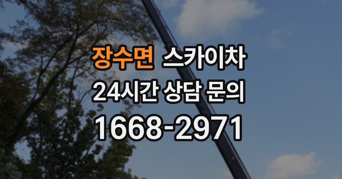 장수면 스카이차