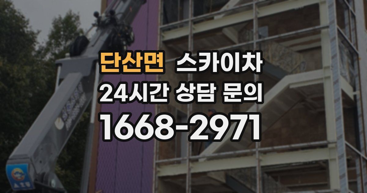 단산면 스카이차