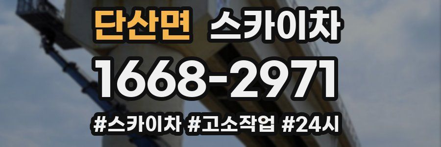 단산면 스카이차