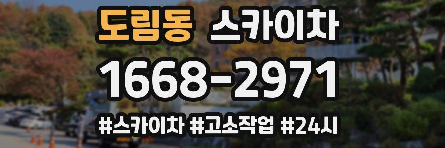 도림동 스카이차