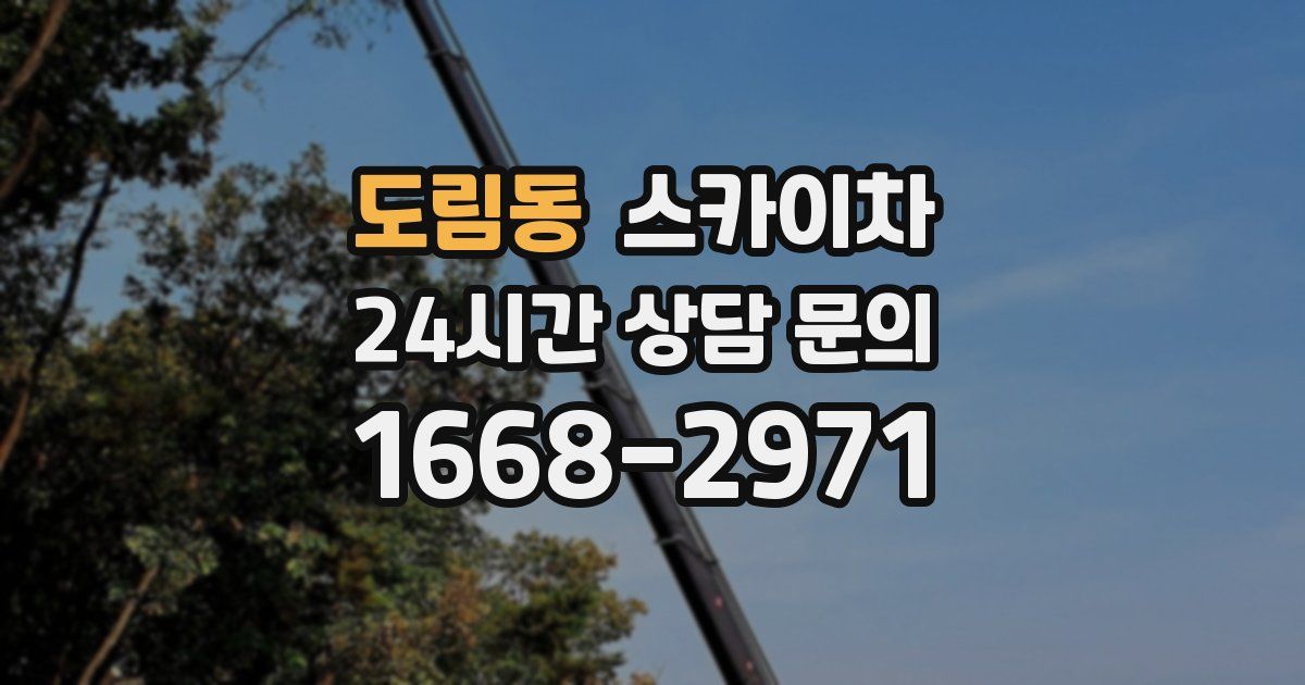 도림동 스카이차