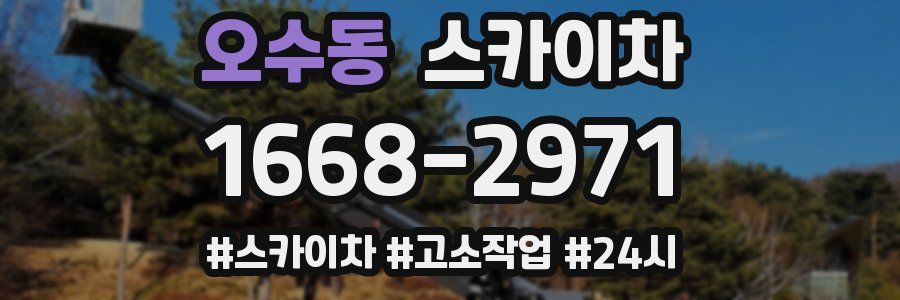 오수동 스카이차