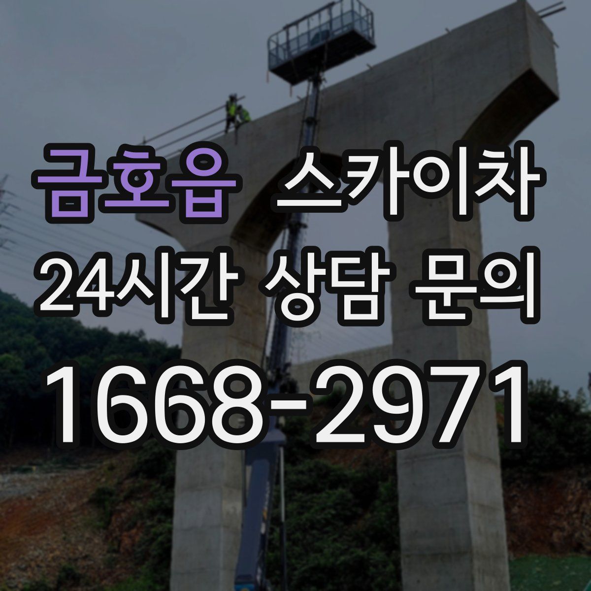 금호읍 스카이차