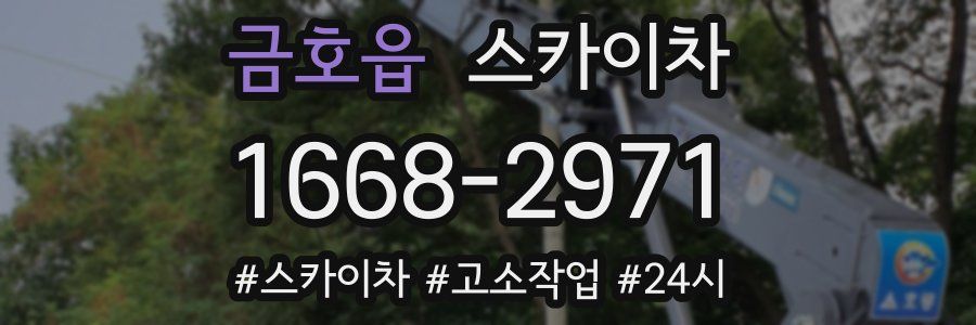 금호읍 스카이차