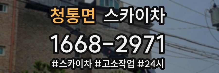 청통면 스카이차