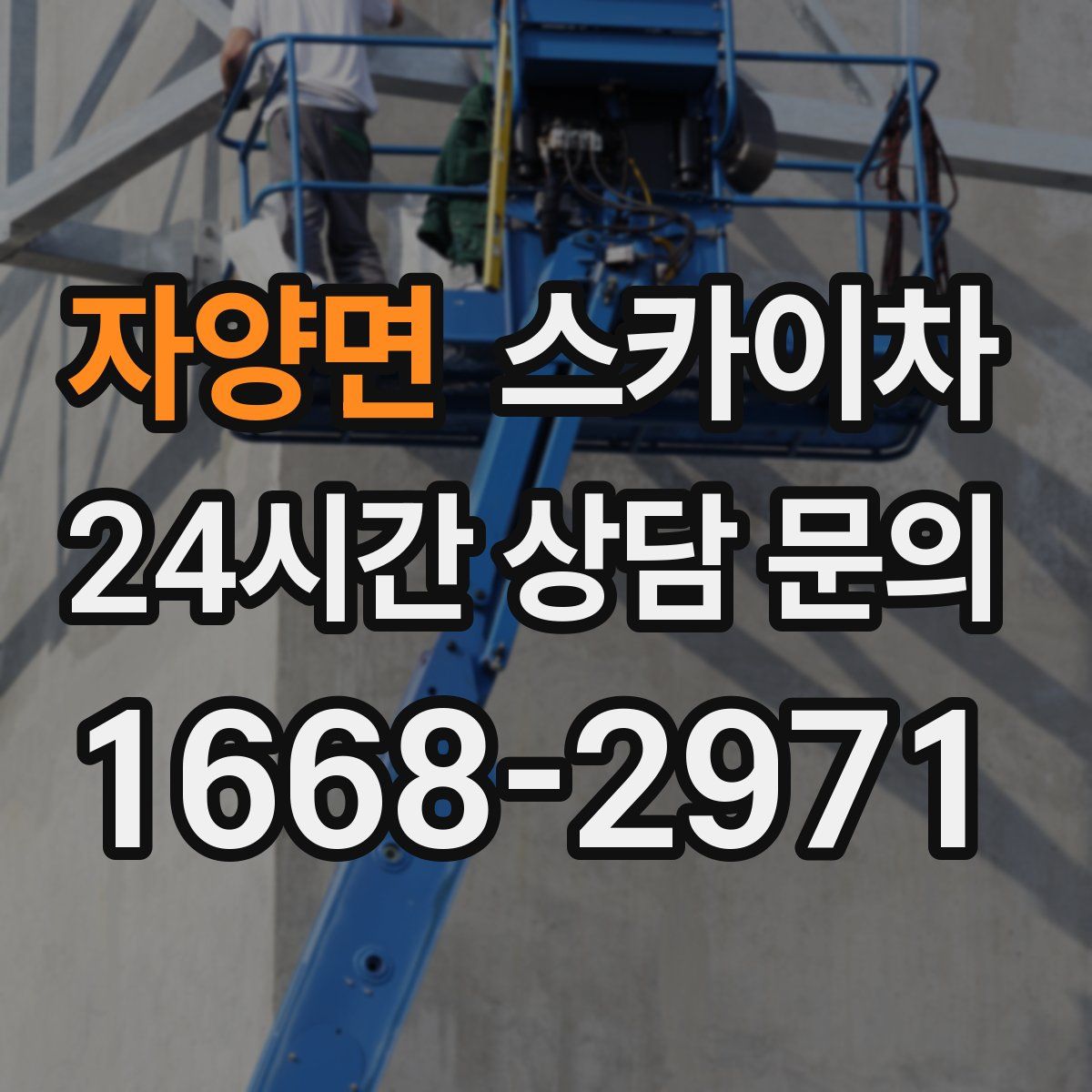 자양면 스카이차