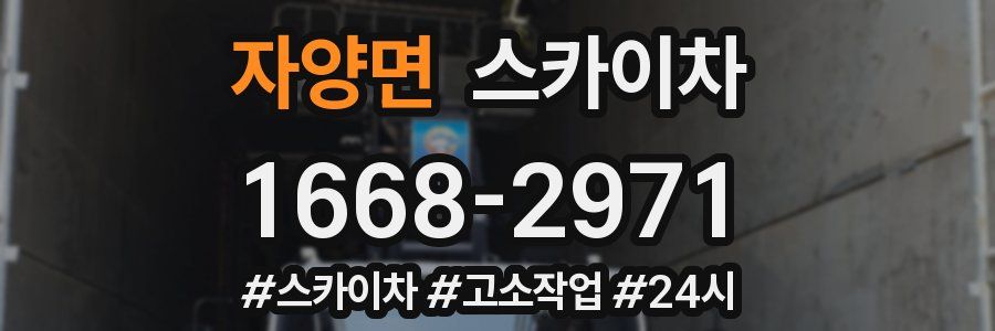 자양면 스카이차