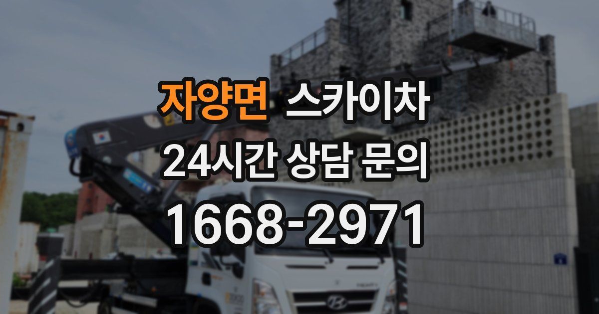 자양면 스카이차