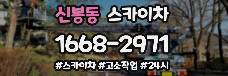 신봉동 스카이차