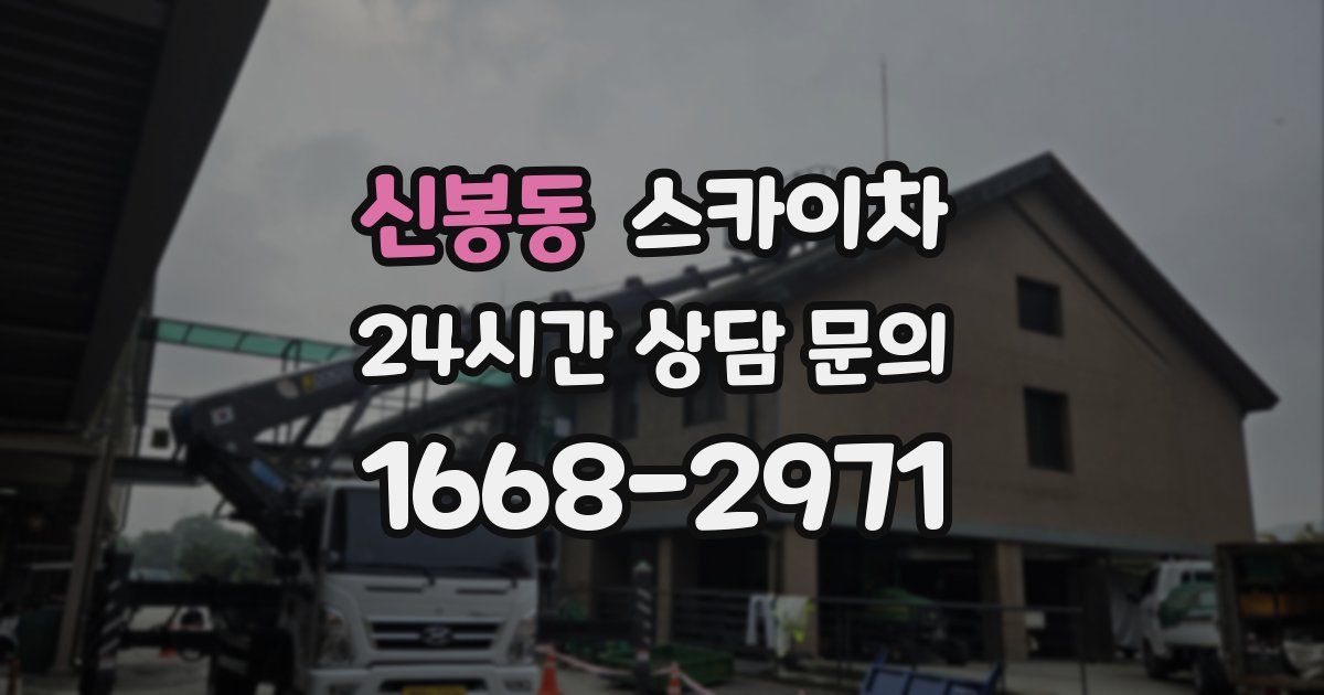 신봉동 스카이차