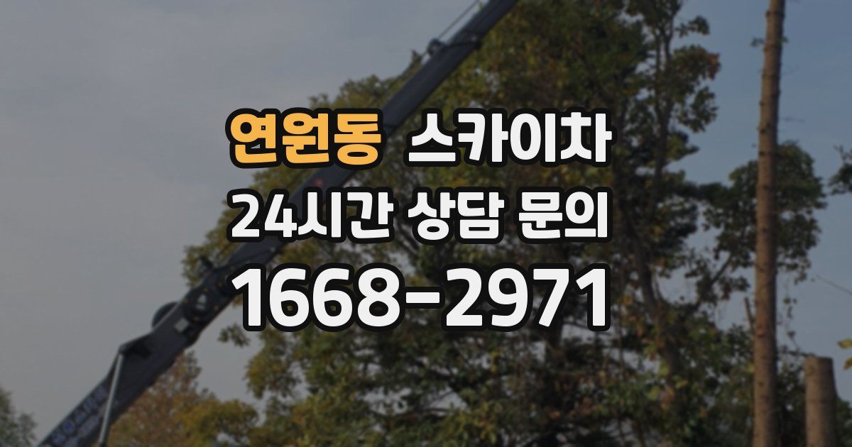 연원동 스카이차