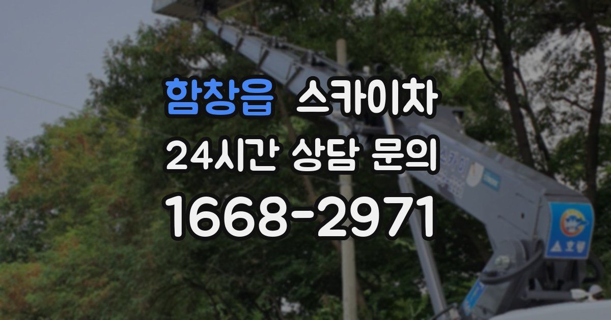 함창읍 스카이차