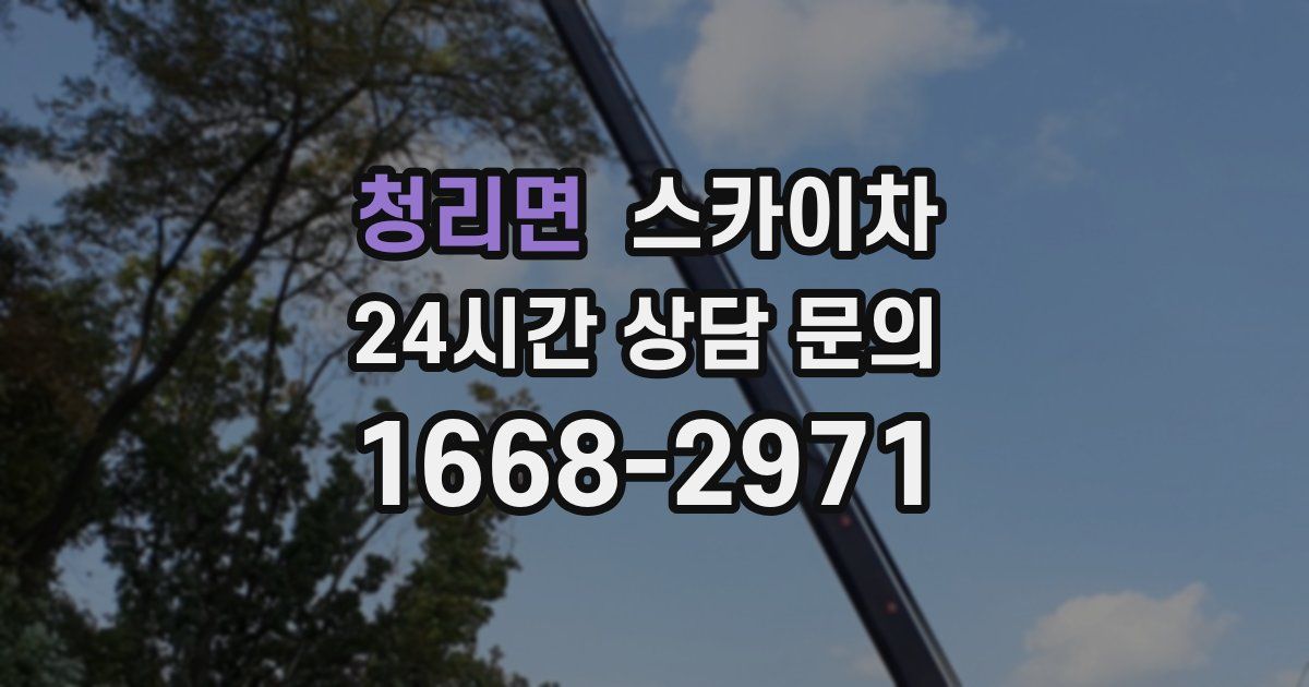 청리면 스카이차