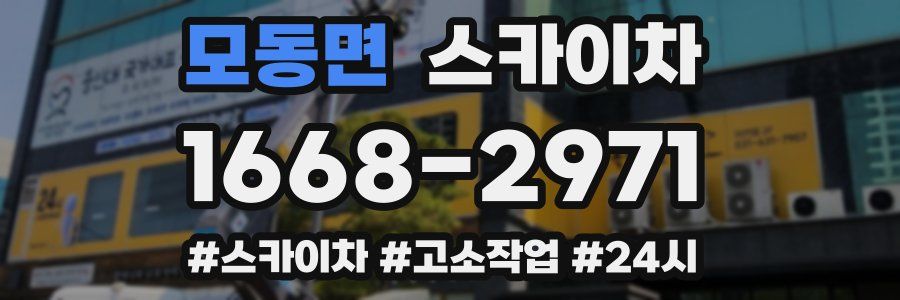 모동면 스카이차