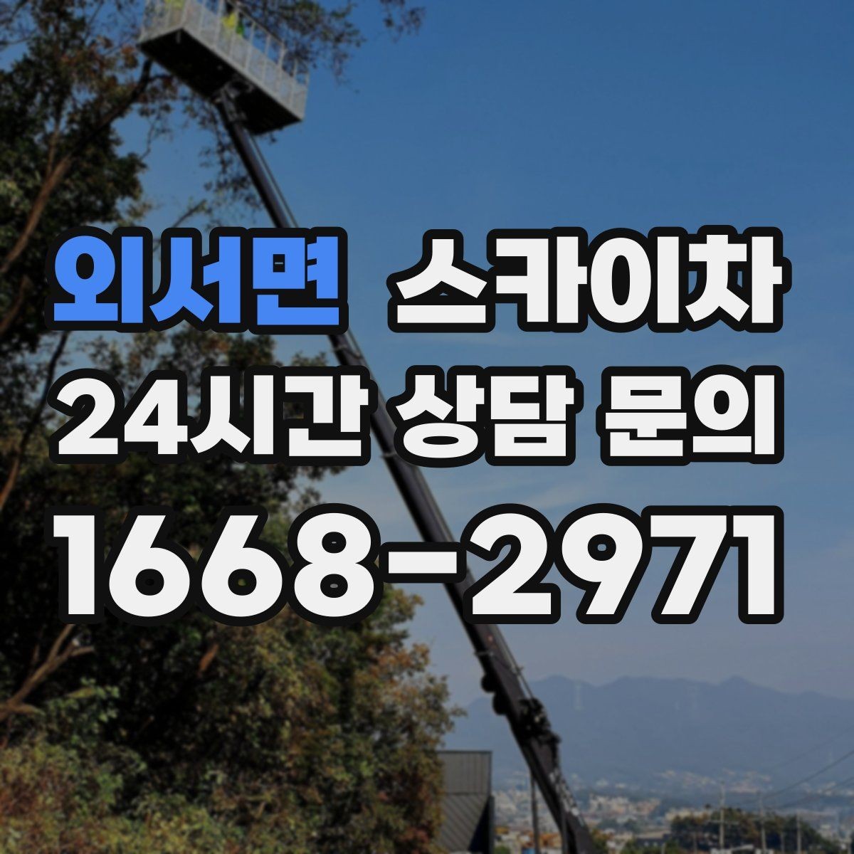 외서면 스카이차 나무 가지 전정 작업에 활용하는 방법
