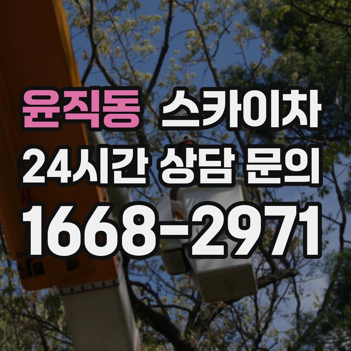 윤직동 스카이차 작업 후 마감 점검으로 깔끔하게 마무리