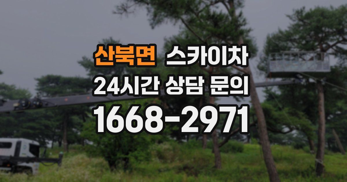 산북면 스카이차