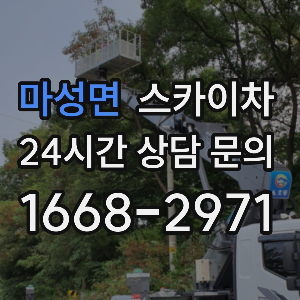 마성면 스카이차