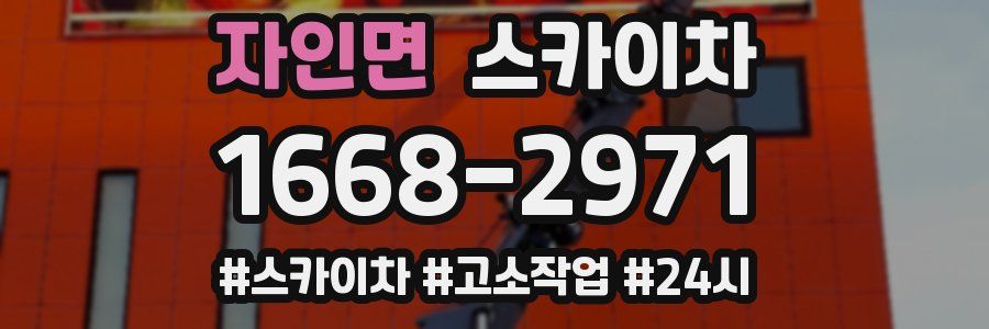 자인면 스카이차