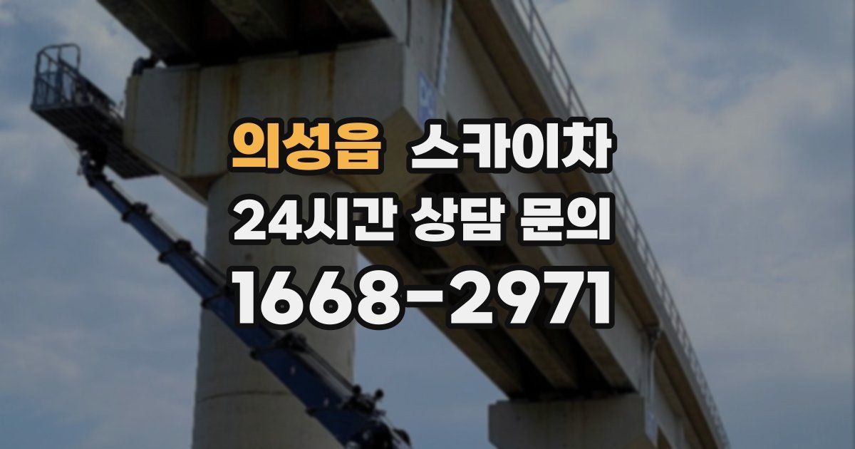 의성읍 스카이차