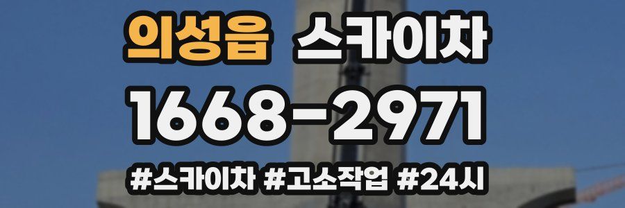 의성읍 스카이차